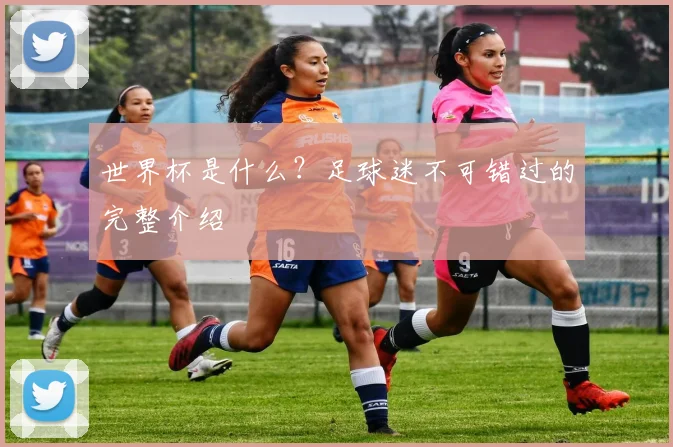 世界杯是什么？足球迷不可错过的完整介绍