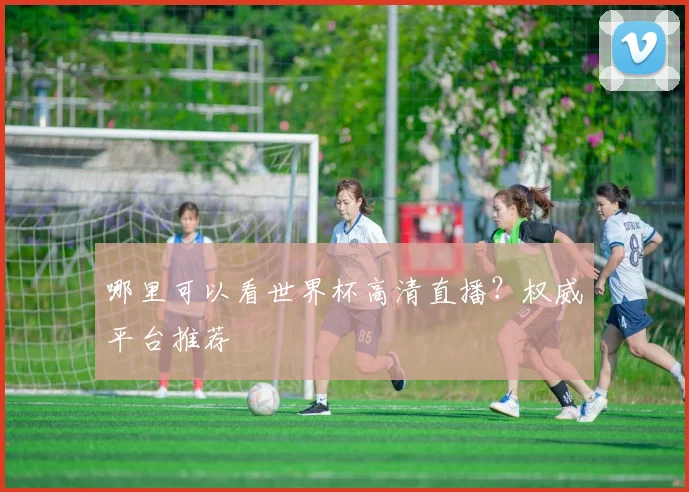 哪里可以看世界杯高清直播？权威平台推荐